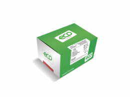 HCV Ab ECO Teste 25 Cassete - Eco